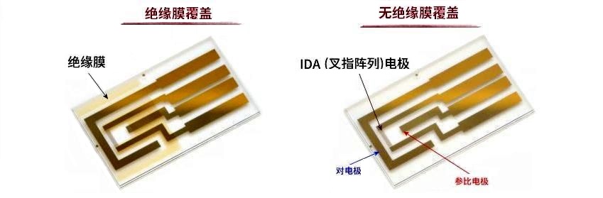 IDA(叉指阵列)电极 Au 2 um IDA(叉指阵列)电极 Au 2 um
