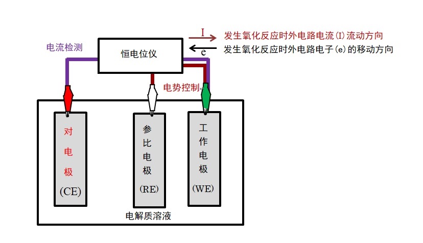 图2-1  恒电位仪和三电极体系连接示意图
