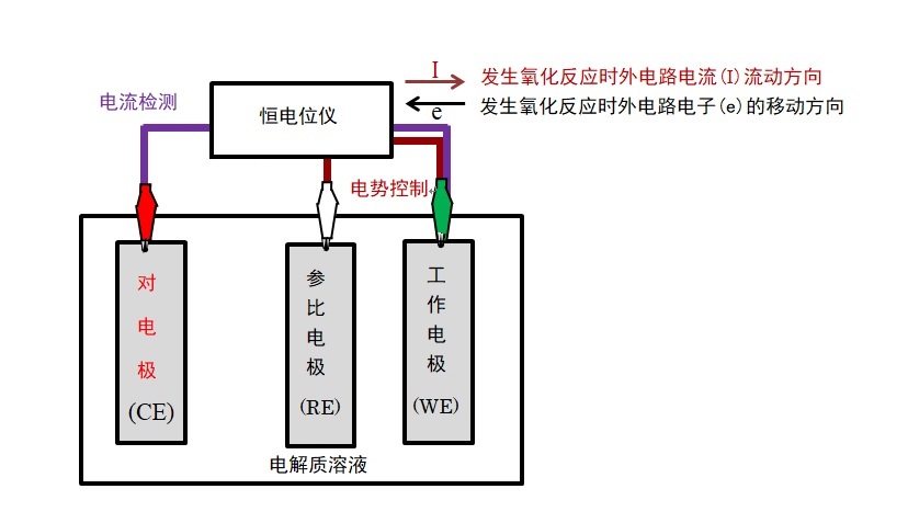 图2-1 恒电位仪和三电极体系连接示意图 图2-1 恒电位仪和三电极体系连接示意图