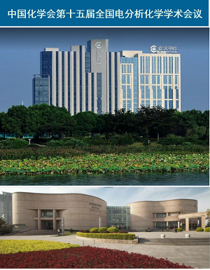 中国化学会第十五届全国电分析化学学术会议 中国化学会第十五届全国电分析化学学术会议