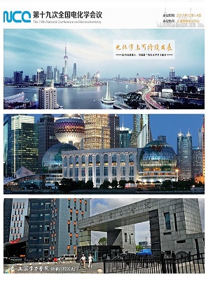第十九届全国电化学大会 第十九届全国电化学大会