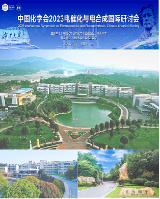 中国化学会2021电催化与电合成国际研讨会 中国化学会2021电催化与电合成国际研讨会
