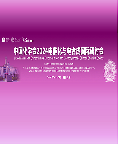 2024电催化与电合成国际研讨会 2024电催化与电合成国际研讨会