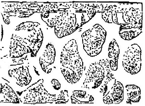  图3-5 Au-RVC电极的扫描电镜照[10]