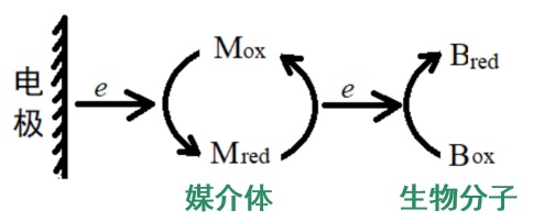 eq4-12-thinlayer.jpg